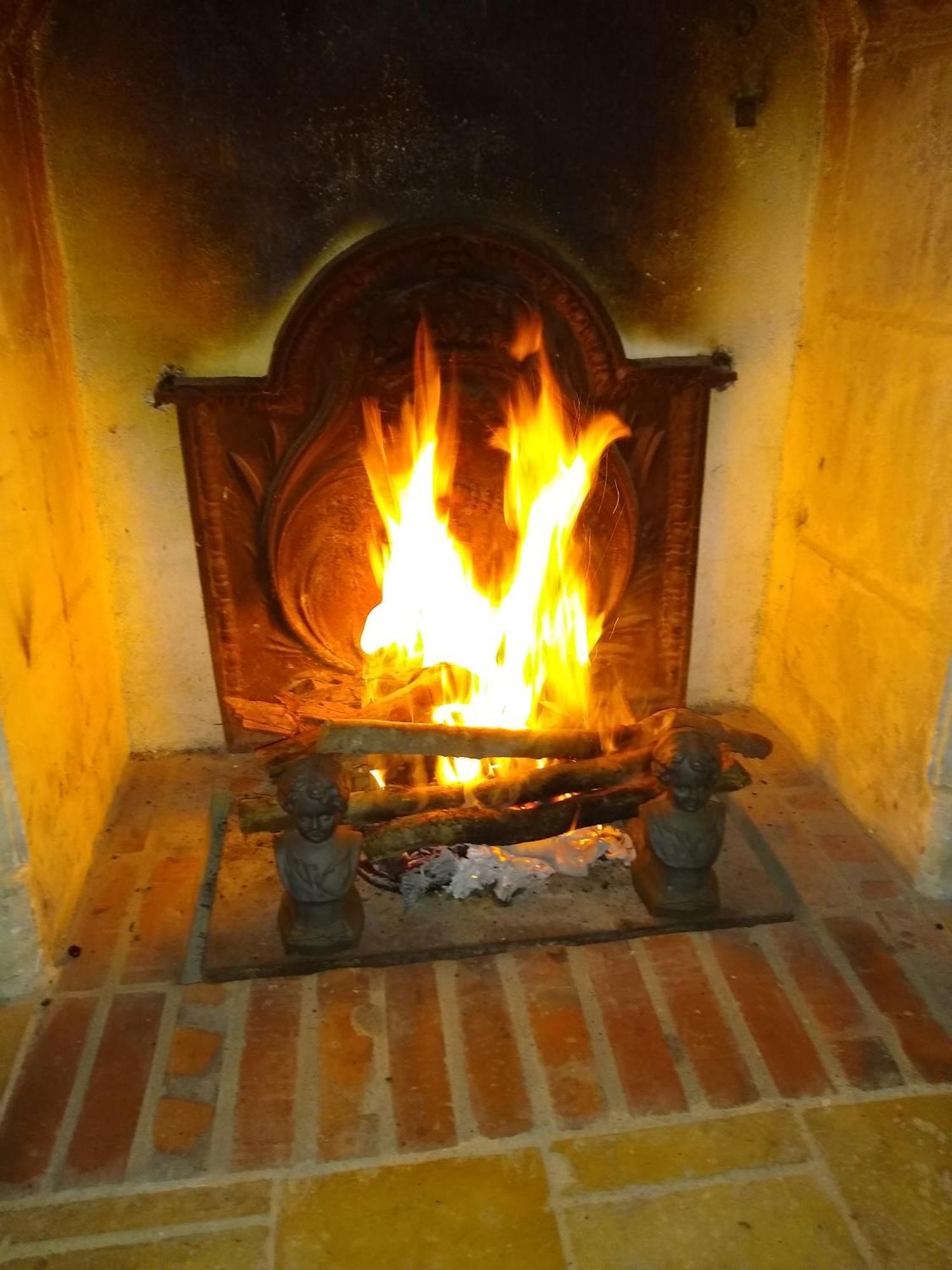 Domaine De La Vaudouriere Villa Lunay Rum bild